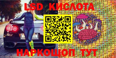 прущие грибы Моздок