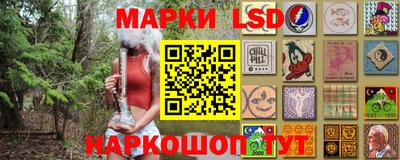 прущие грибы Моздок