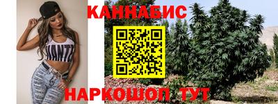 прущие грибы Моздок