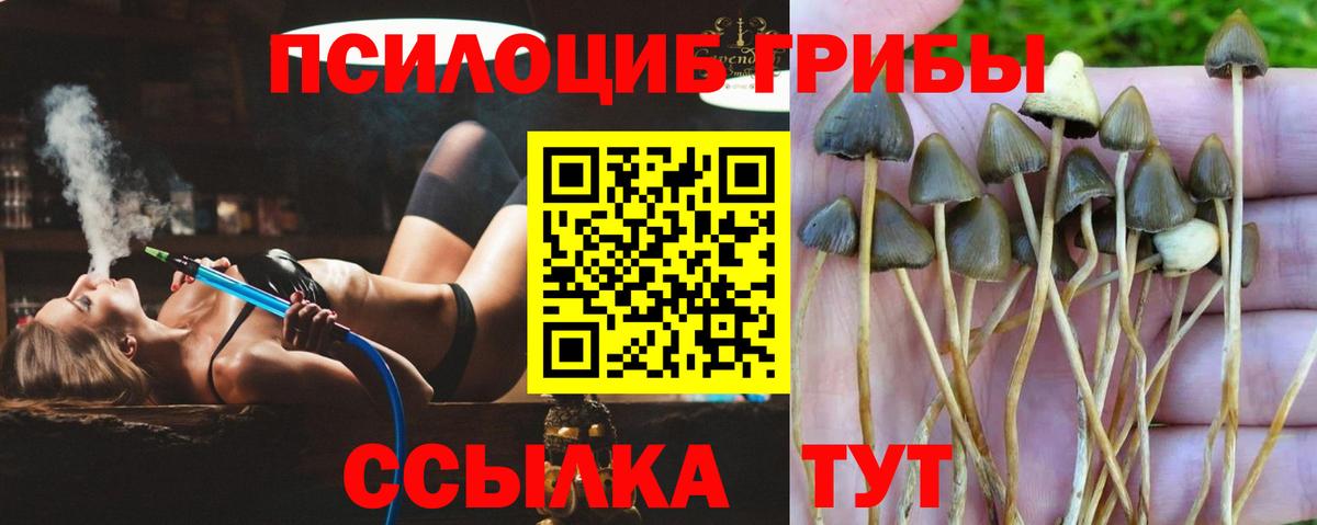 наркошоп  Галлюциногенные грибы Cubensis  Дедовск  Вход с VPN  Псилоцибиновые грибы MAGIC MUSHROOMS 